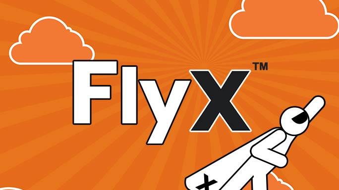 FlyX